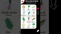 [ID: 0ocm6tONRn8] Youtube Automatic