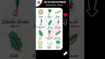 [ID: 0ocm6tONRn8] Youtube Automatic