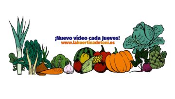 [ID: 0PWENBfeCD8] Youtube Automatic