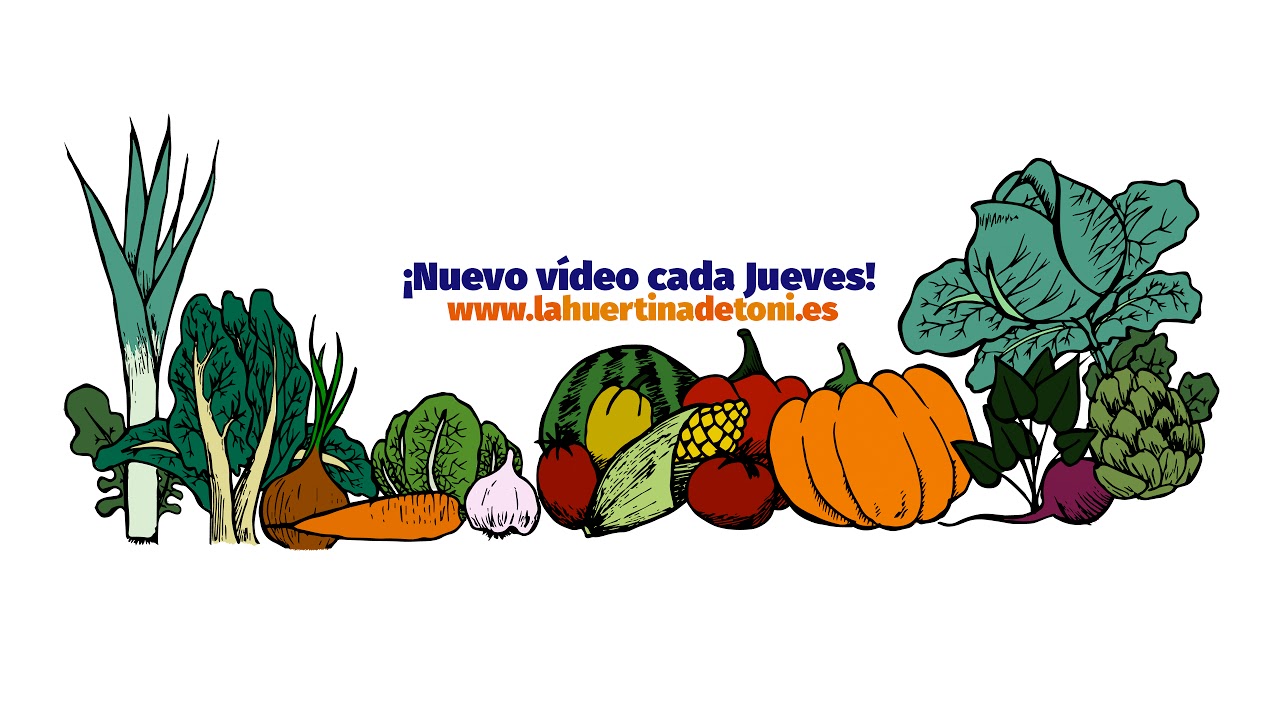Precargar imagen