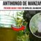 [ID: 12f_KYSg9uo] Youtube Automatic