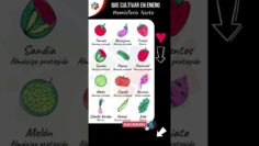 [ID: 13fZGCj92zU] Youtube Automatic