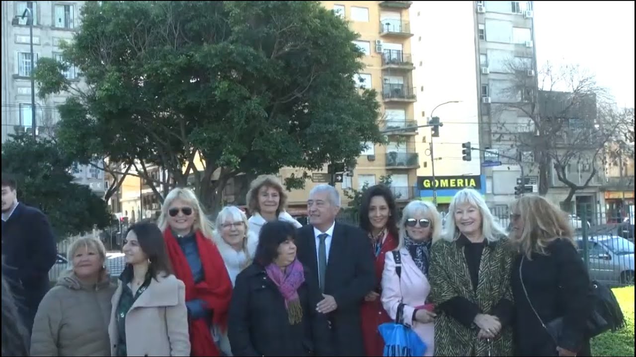 Precargar imagen