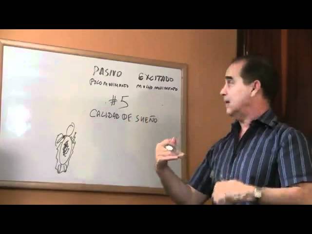 Precargar imagen
