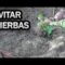 [ID: 2lyhGPiJb1o] Youtube Automatic