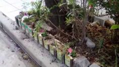 [ID: 2RIxXfHMn2I] Youtube Automatic