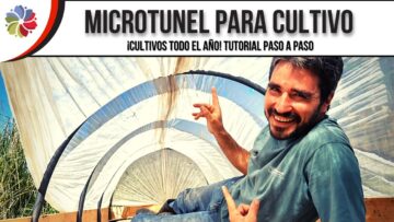 [ID: 37hzw4xgs0k] Youtube Automatic