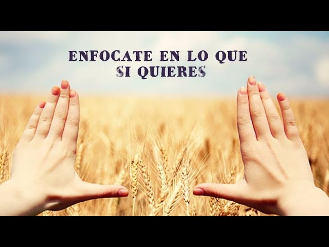 Precargar imagen