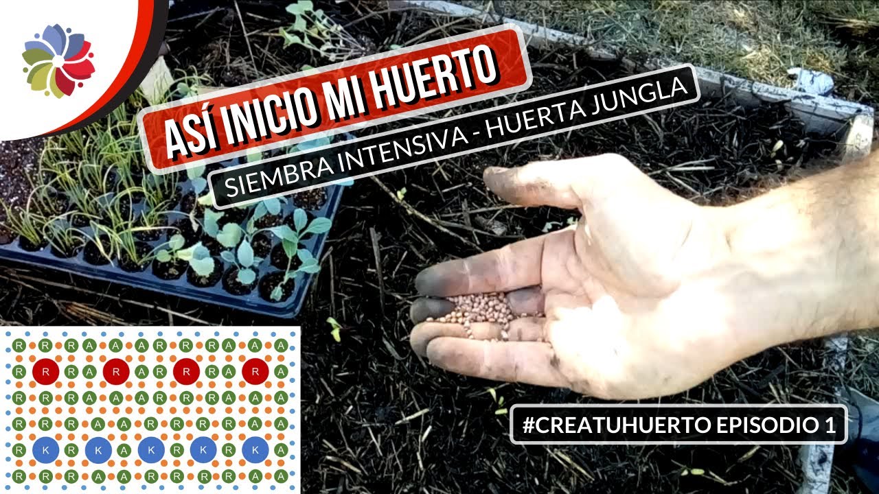 Precargar imagen