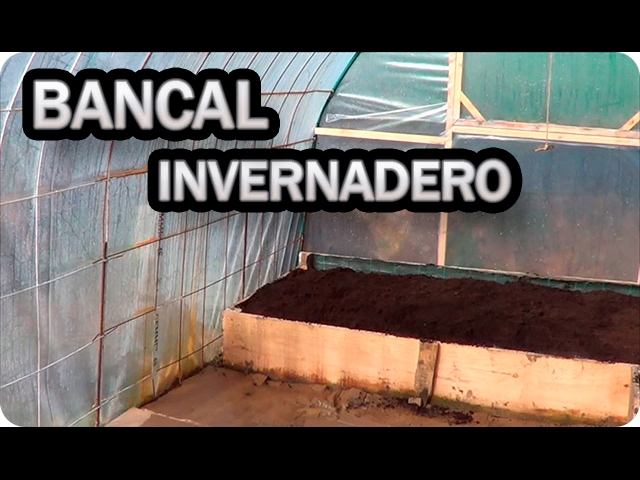 Precargar imagen