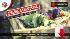 [ID: 3Tcazg4E0Vo] Youtube Automatic