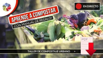 [ID: 3Tcazg4E0Vo] Youtube Automatic