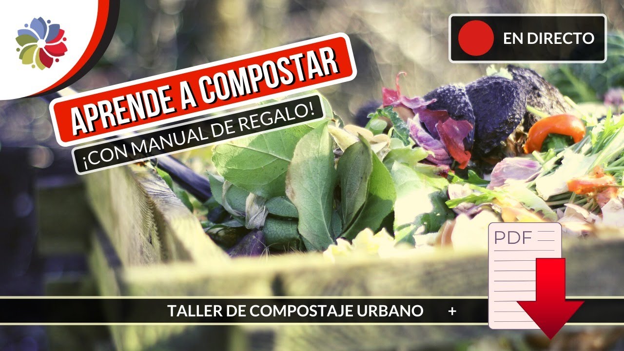 Precargar imagen