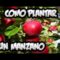 [ID: 46It788oMx0] Youtube Automatic