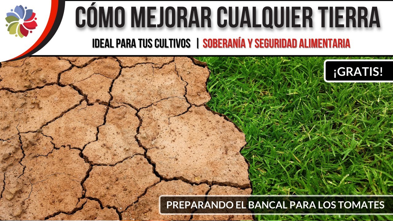 Precargar imagen