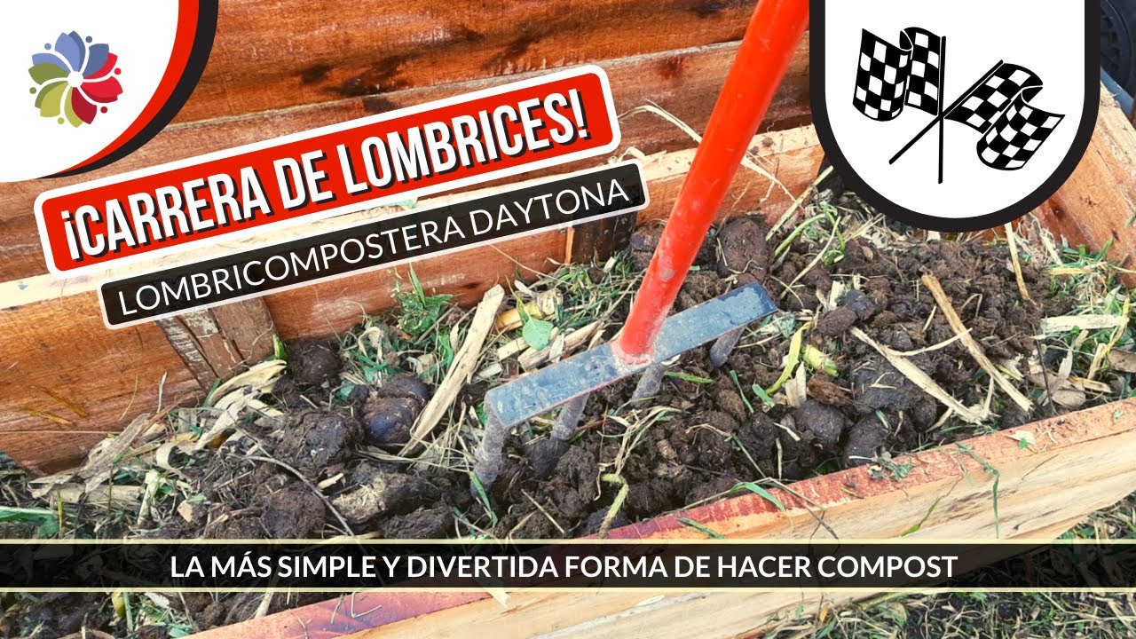 Precargar imagen