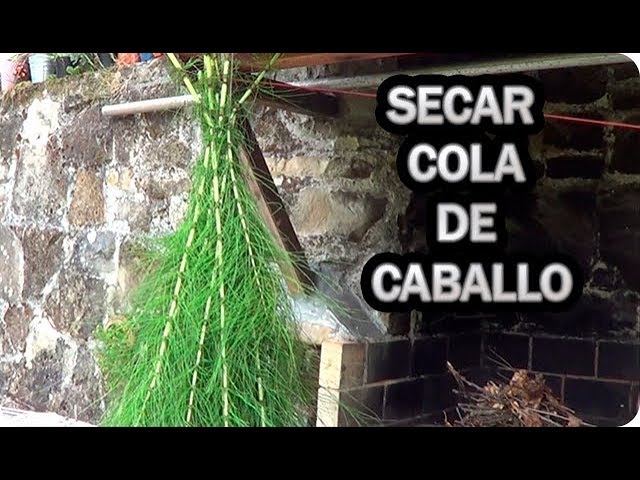 Precargar imagen