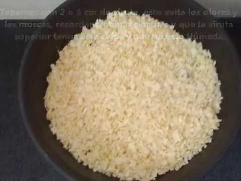 Precargar imagen