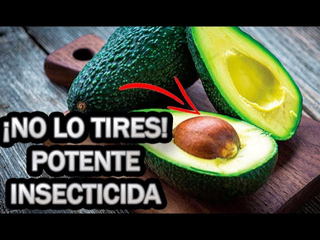 Precargar imagen