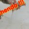 [ID: 75Tr8YcMvkI] Youtube Automatic