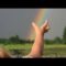 [ID: 7O1_6iaFAcE] Youtube Automatic