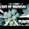 [ID: 7QurIJt6AUo] Youtube Automatic