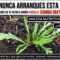 [ID: 80dNTWEkEso] Youtube Automatic