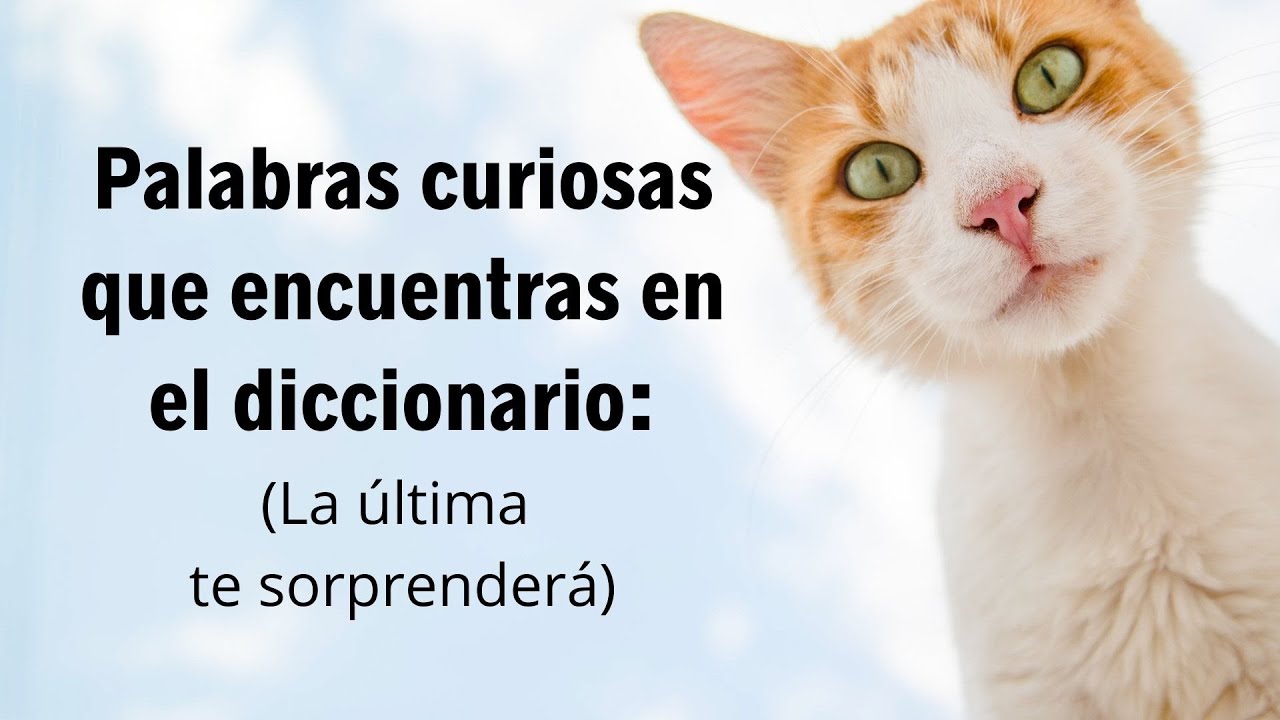 Precargar imagen