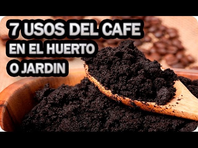 Precargar imagen