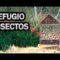 [ID: 8IPSL5q16p4] Youtube Automatic