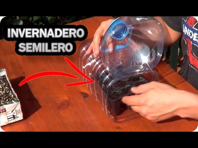 Precargar imagen