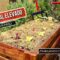 [ID: 8XZt7Elq43U] Youtube Automatic