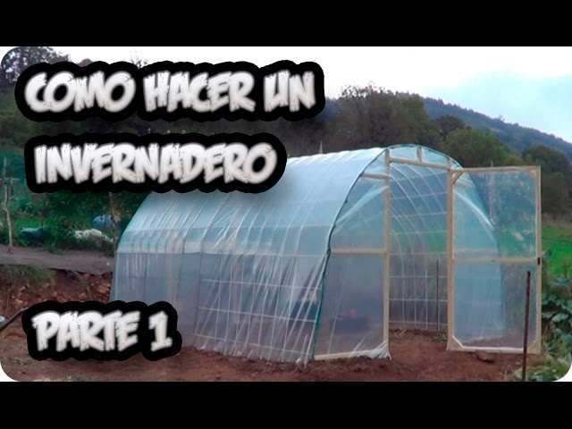 Precargar imagen