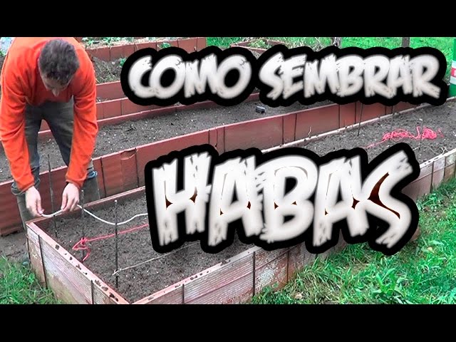 Precargar imagen