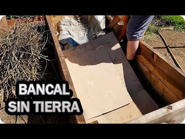 Precargar imagen