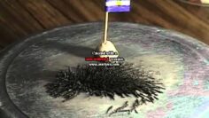 [ID: a-rQJ5cGQNE] Youtube Automatic
