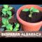 [ID: a1MOu_vHOsQ] Youtube Automatic