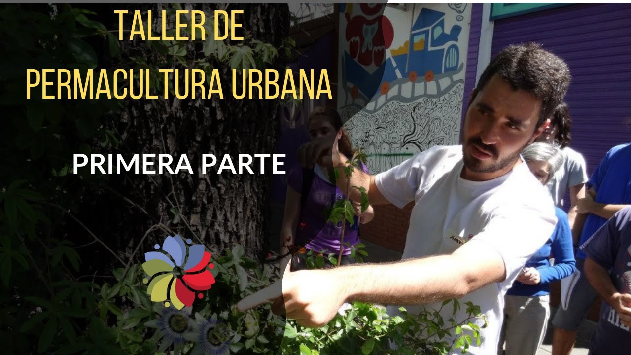 Precargar imagen