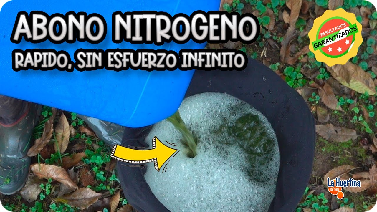 Precargar imagen
