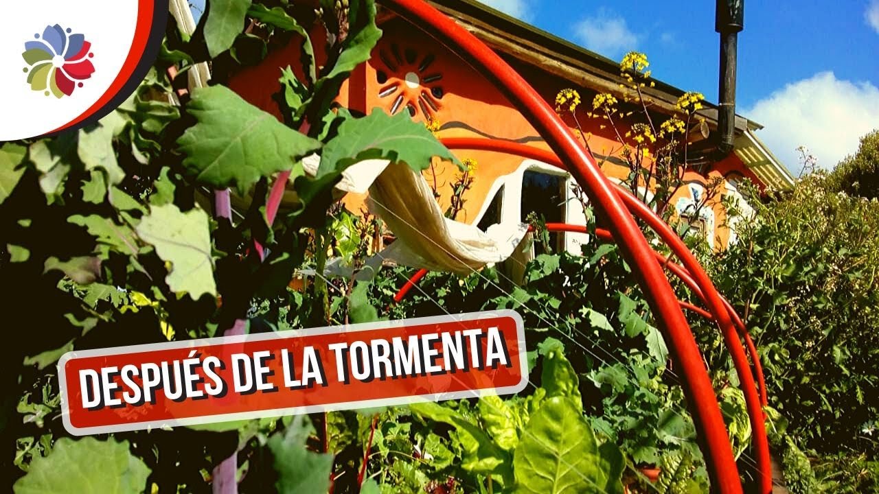 Precargar imagen