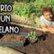 [ID: ah9AI4qUEsk] Youtube Automatic