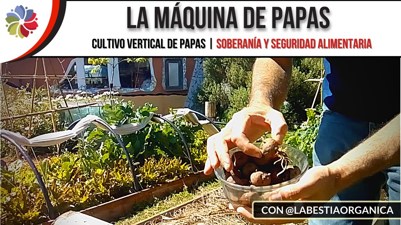 Precargar imagen