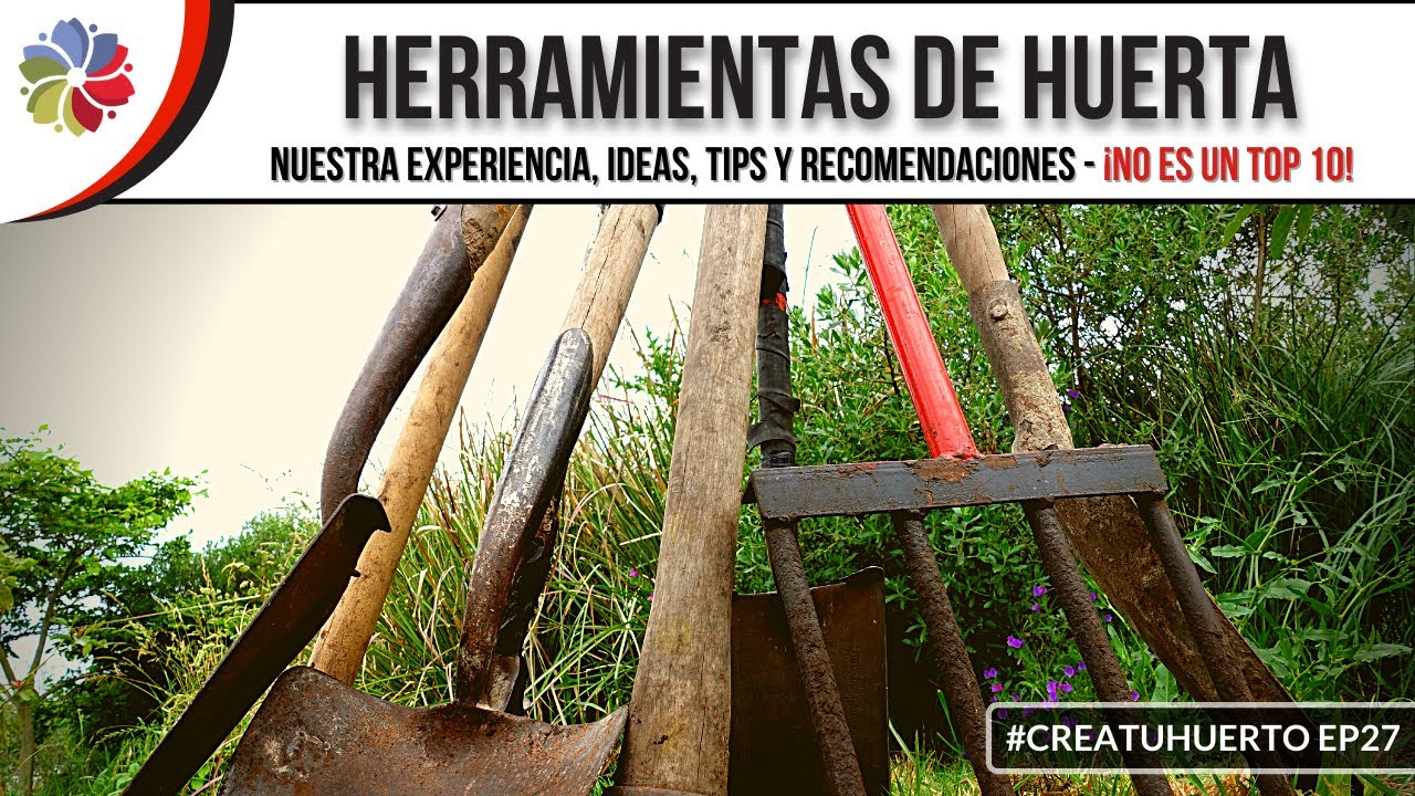 Precargar imagen