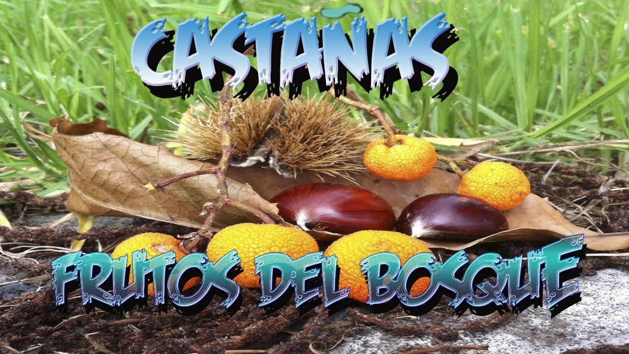 Precargar imagen