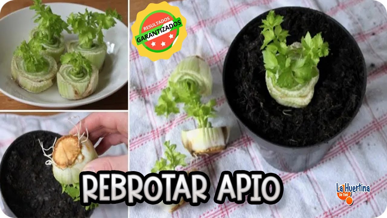 Precargar imagen