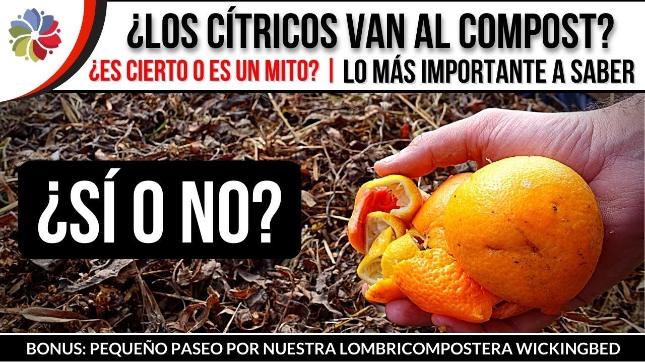 Precargar imagen
