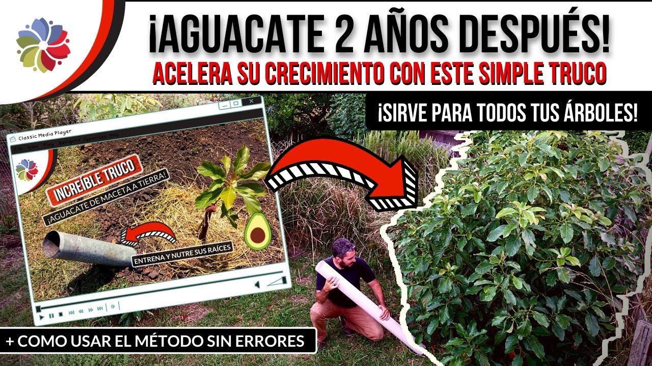 Precargar imagen