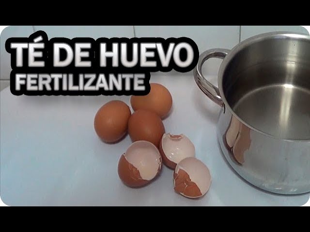 Precargar imagen