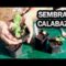 [ID: -ct8wv-cEds] Youtube Automatic