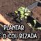 [ID: Dc5Arp9-R2g] Youtube Automatic